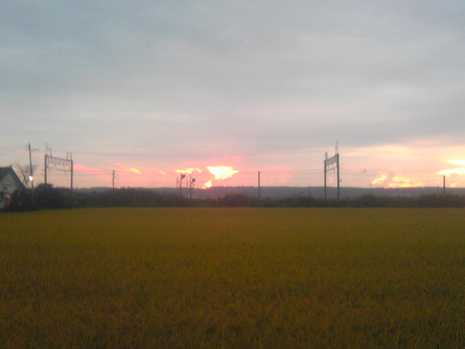 今日の夕方