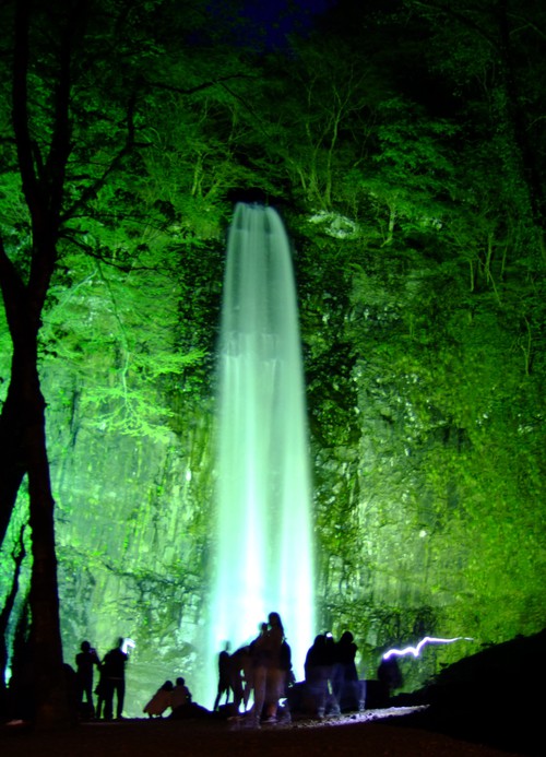 玉簾の滝　春のライトアップ19