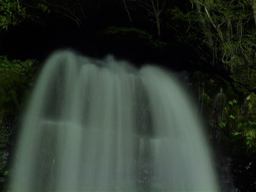 玉簾の滝　春のライトアップ19