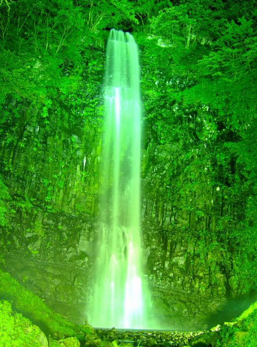 玉簾の滝　夏のライトアップ15