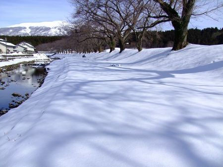 洗沢川雪景色