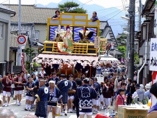 大山犬祭り ♪