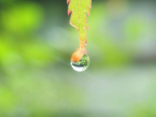 雨の合間の玉川寺