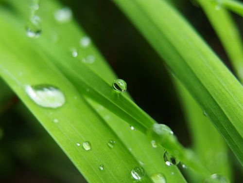 雨の合間の玉川寺