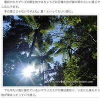 2009年01月19日