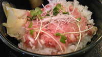2008年12月20日