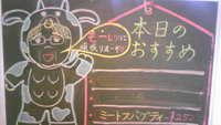 2009年01月20日