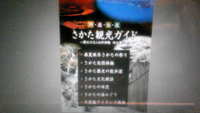 2009年01月31日
