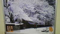 2009年02月11日