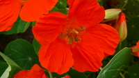 2008年11月21日