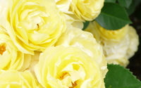 2008年11月21日