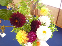 2008年10月24日
