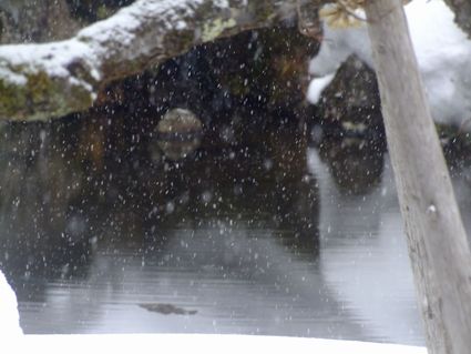 雪の玉川寺