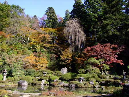 11月の玉川寺