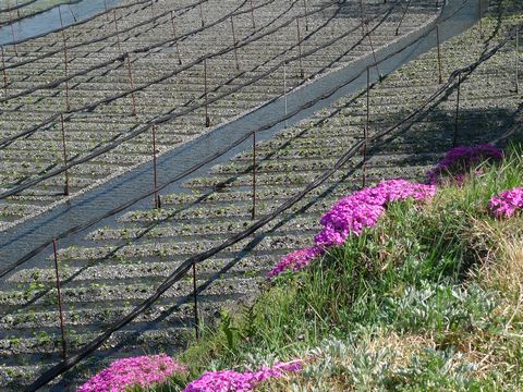 「GW旅　信州編」