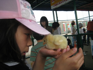 世界大動物園♪