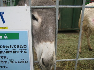 世界大動物園♪