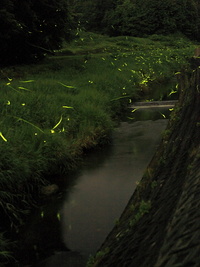 【フォトプラザ山形写真展に行って来ました】