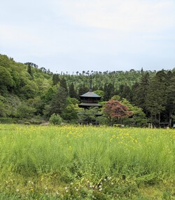 阿久津八幡宮