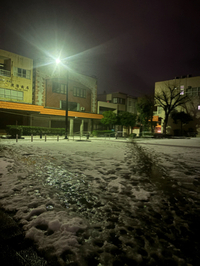 雨、雷、強風の酒田Ｕｰ''`ｰ;U ﾑﾑｯ