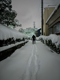 大雪の朝┌(;￣◇￣)┘