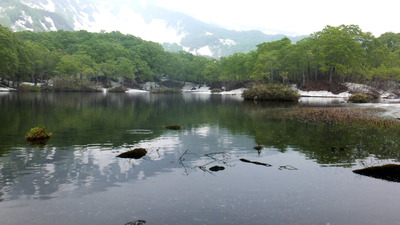 鶴間池リベンジ