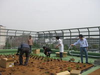 元中学校の屋上で畑を作る！