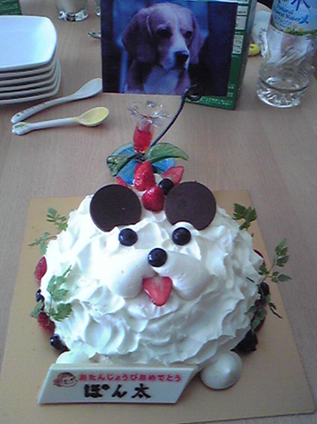 Happy Birthday Ponta♪