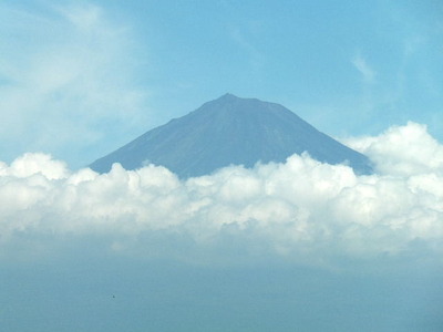 のぞみから｢富士山」