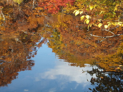 秋の鶴間池