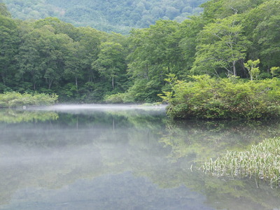 夏の鶴間池