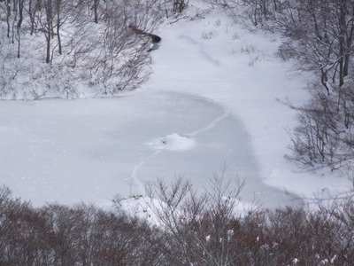 冬の鶴間池