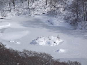 結氷、鶴間池