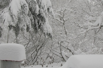 雪、降り止まぬ12月9日(日）