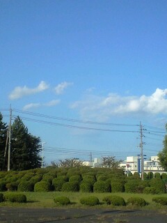 アートな道…