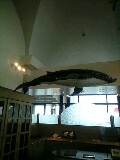 ある日の記憶…PIER21