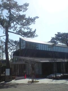梅と鴨と…鶴岡公園