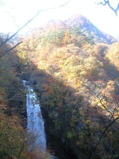 紅葉狩り…秋保大滝
