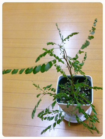 名前がピッタリ! 名前がピッタリ!