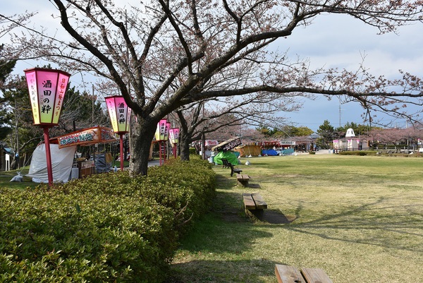 日和山花は咲き始め、露店は準備完了