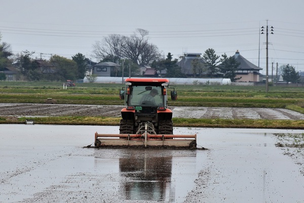 代掻き盛んな中平田地区 代掻き盛んな中平田地区