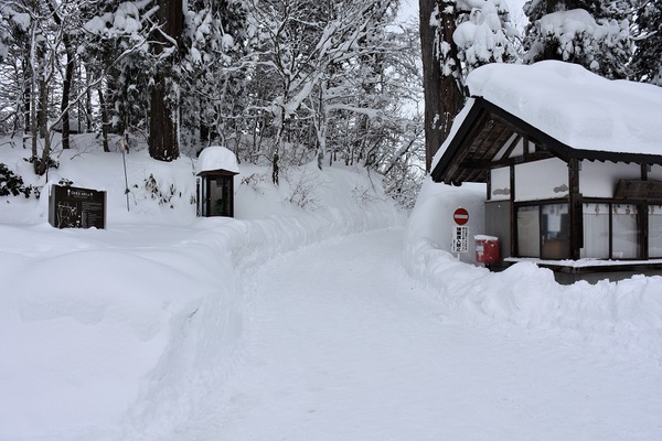 大雪の羽黒山参拝 大雪の羽黒山参拝