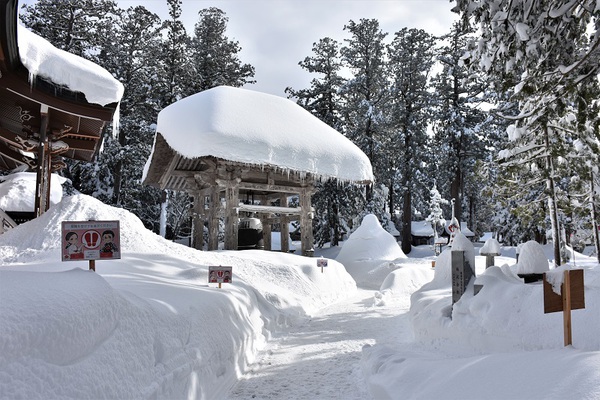 大雪の羽黒山参拝 大雪の羽黒山参拝