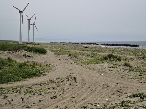 宮野浦海岸波高し 宮野浦海岸波高し