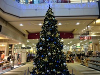 イオンモール三川のクリスマスツリー