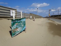 大浜海岸の砂の量