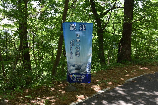 大山自然公園のヒメサユリと日本一公園の最上川景観 大山自然公園のヒメサユリと日本一公園の最上川景観