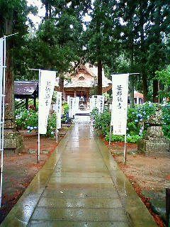 雨の・・・