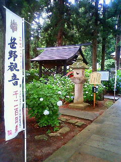 あじさい寺