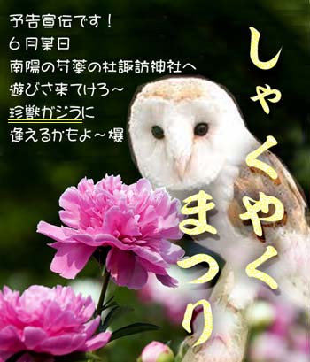 珍獣☆見さあいべ!